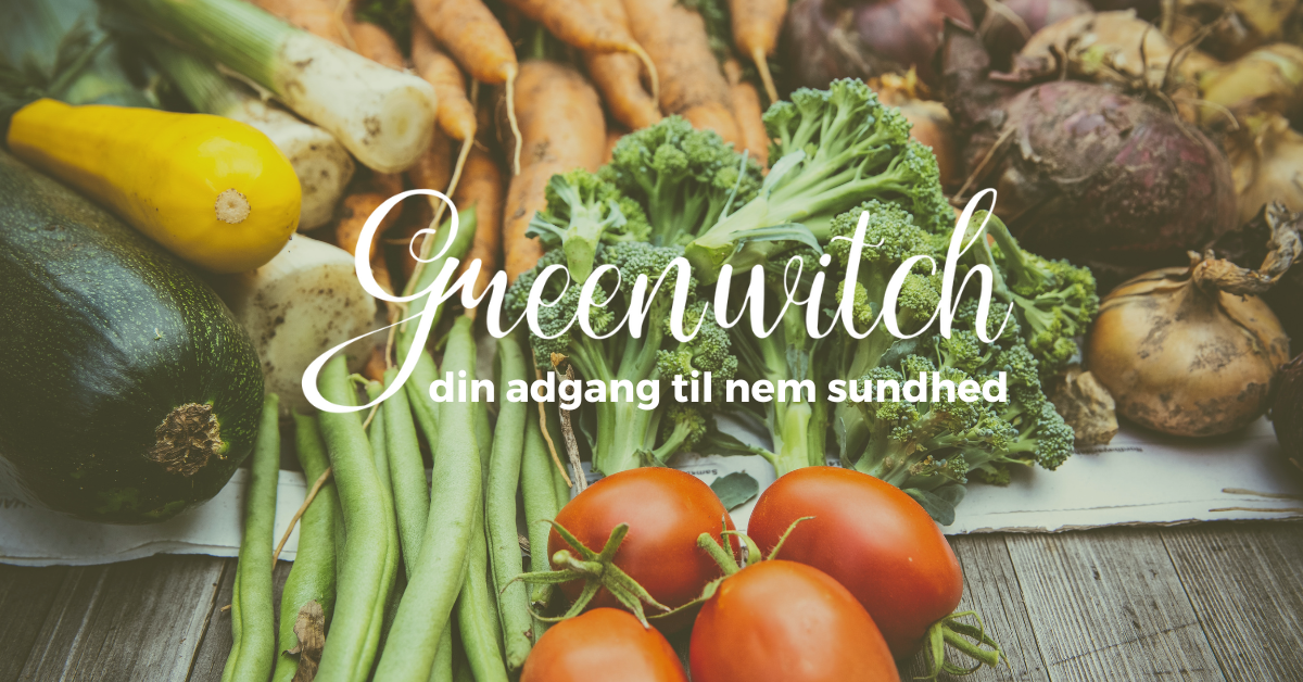 Greenwitch ApS logo