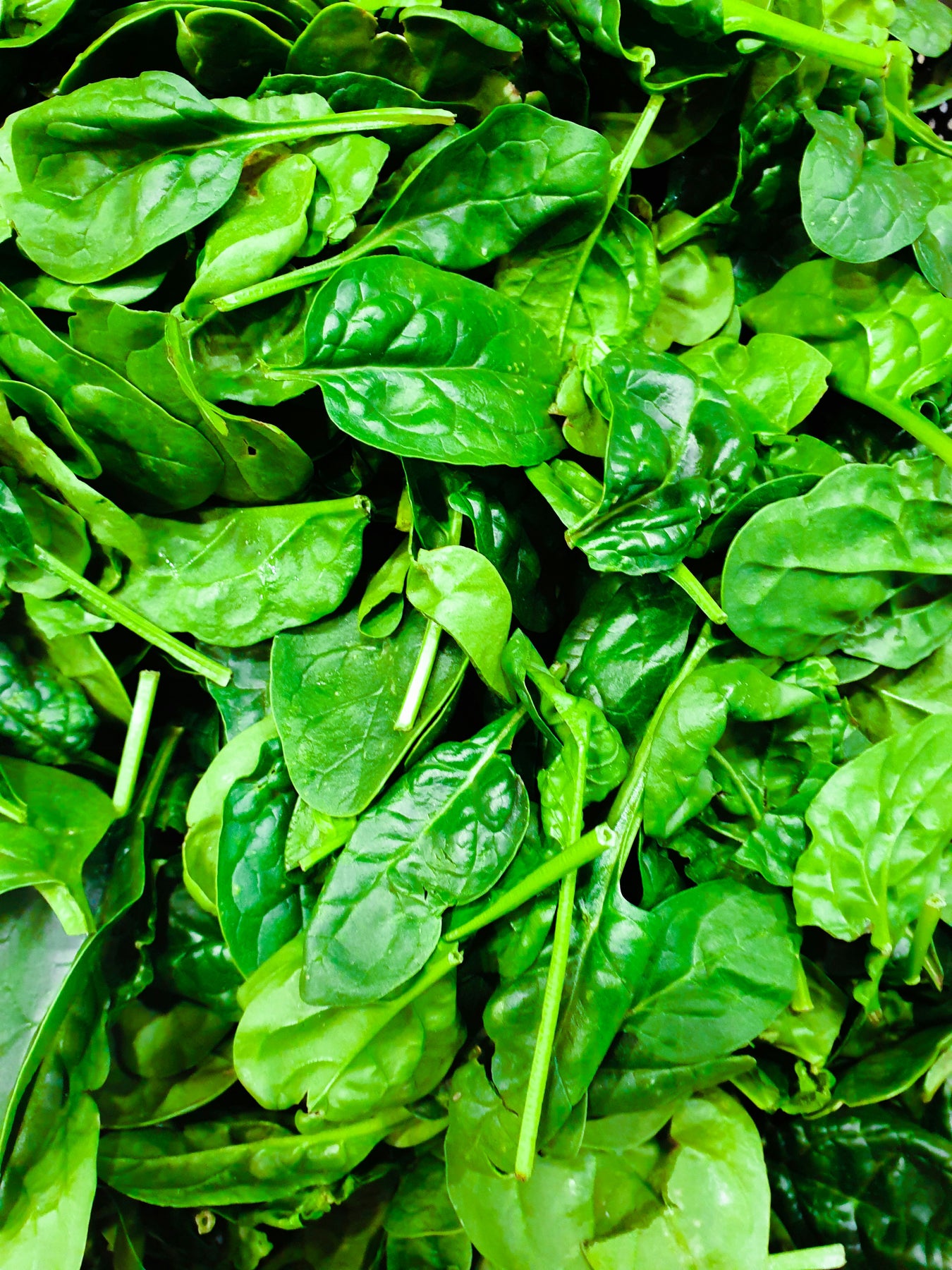 Greenwitch flotte, lækre, grønne, friske spinatblade